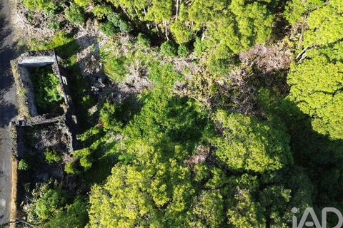 Byhus i Lajes do Pico, Pico, Lajes do Pico - € 77.000 | Ref: 143576 - foto 10