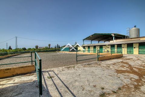 Tomt i Velez Malaga, Malaga, Velez Malaga - € 890 000 | Ref: NPSV2435 - foto 37