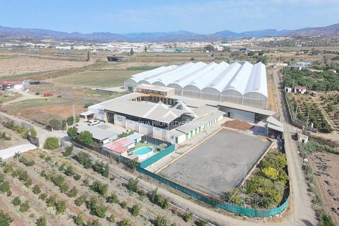 Tomt i Velez Malaga, Malaga, Velez Malaga - € 890 000 | Ref: NPSV2435 - foto 43