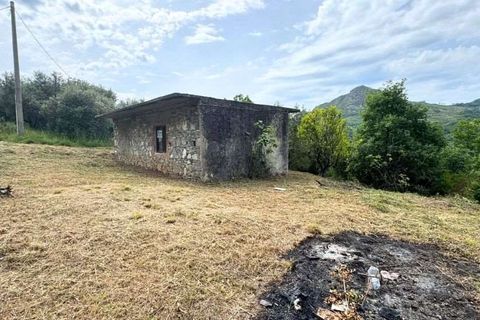 Terra a Bonifati, Cosenza, Bonifati - € 27.000 | Ref: 1232 - foto 2