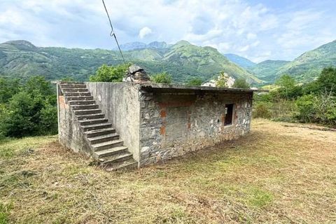 Terra a Bonifati, Cosenza, Bonifati - € 27.000 | Ref: 1232 - foto 3