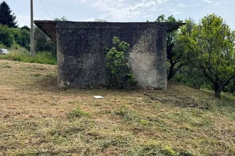 Terra a Bonifati, Cosenza, Bonifati - € 27.000 | Ref: 1232 - foto 4