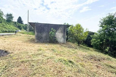 Terra a Bonifati, Cosenza, Bonifati - € 27.000 | Ref: 1232 - foto 5