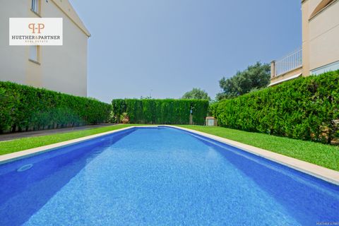 Appartement - Port De Pollenca, Mallorca - photo 3