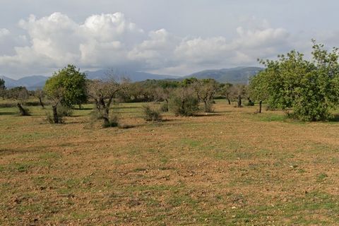 Helårsgrund i Llucmajor, Mallorca, Llucmajor - € 300.000 | Ref: 81726 - foto 1