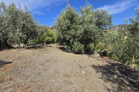 Villa i Nerja, Malaga, Nerja - € 515.000 | Ref: R5063113 - foto 25