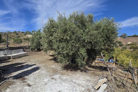 Villa i Nerja, Malaga, Nerja - € 515.000 | Ref: R5063113 - foto 26