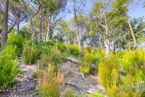 Helårsgrund i Lloret De Mar, Gerona, Lloret De Mar - € 35.000 | Ref: PAR0137 - foto 11