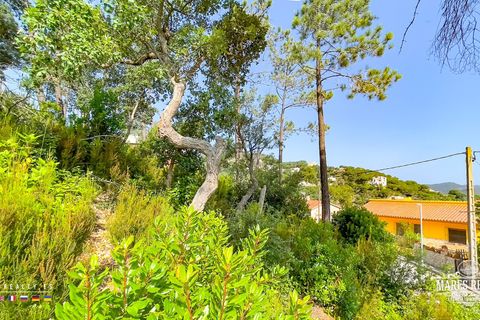 Helårsgrund i Lloret De Mar, Gerona, Lloret De Mar - € 35.000 | Ref: PAR0137 - foto 21