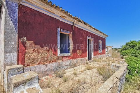 Helårsgrund i Lagoa, Faro, Lagoa - € 890.000 | Ref: 119250060 - foto 6