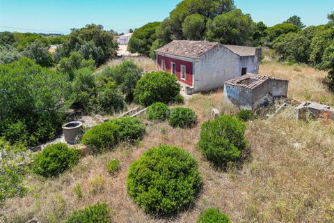 Helårsgrund i Lagoa, Faro, Lagoa - € 890.000 | Ref: 119250060 - foto 13
