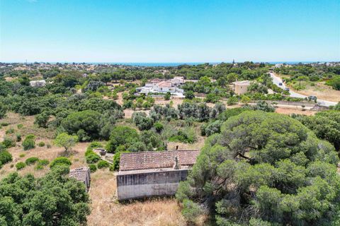 Helårsgrund i Lagoa, Faro, Lagoa - € 890.000 | Ref: 119250060 - foto 22