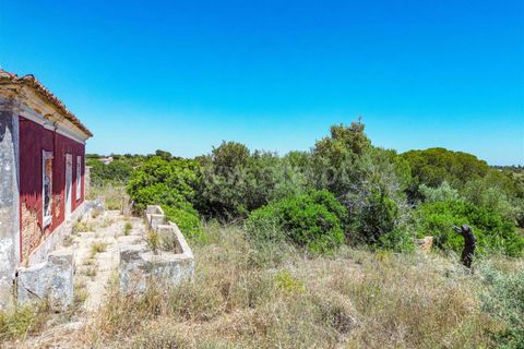 Helårsgrund i Lagoa, Faro, Lagoa - € 890.000 | Ref: 119250060 - foto 23