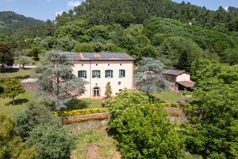 Landejendom i Lucca, Lucca, Lucca - € 3.500.000 | Ref: ito3011 - foto 8