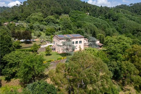 Landejendom i Lucca, Lucca, Lucca - € 3.500.000 | Ref: ito3011 - foto 11
