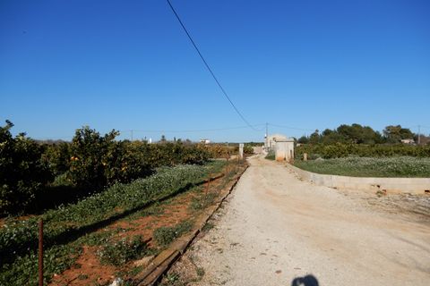 Helårsgrund i Pedreguer, Alicante, Pedreguer - € 249.000 | Ref: DV184 - foto 10