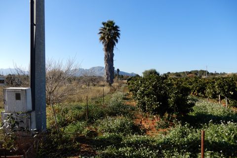 Helårsgrund i Pedreguer, Alicante, Pedreguer - € 249.000 | Ref: DV184 - foto 12