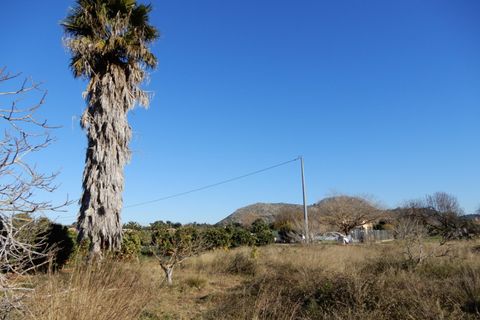 Helårsgrund i Pedreguer, Alicante, Pedreguer - € 249.000 | Ref: DV184 - foto 14