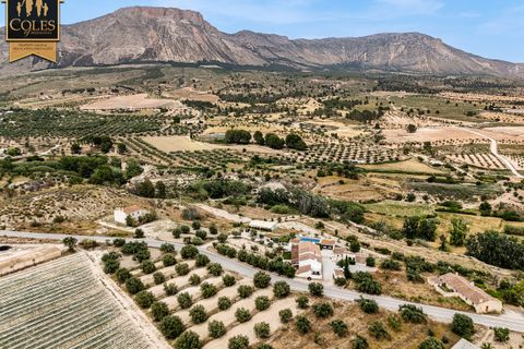 Cortijo i Velez-Blanco, Almeria, Velez-Blanco - € 469.995 | Ref: BLA8C01 - foto 5