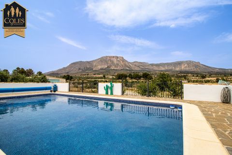 Cortijo i Velez-Blanco, Almeria, Velez-Blanco - € 469.995 | Ref: BLA8C01 - foto 49