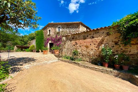 Villa a Vall-Llobrega, Gerona, Vall-Llobrega - € 2.500.000 | Ref: 1011 - foto 34