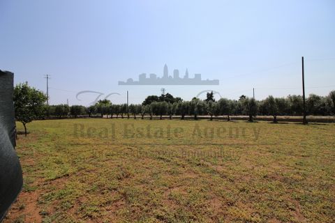 Tomt i Martano, Lecce, Martano - € 80 000 | Ref:  CR000 - foto 17
