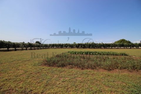 Tomt i Martano, Lecce, Martano - € 80 000 | Ref:  CR000 - foto 7