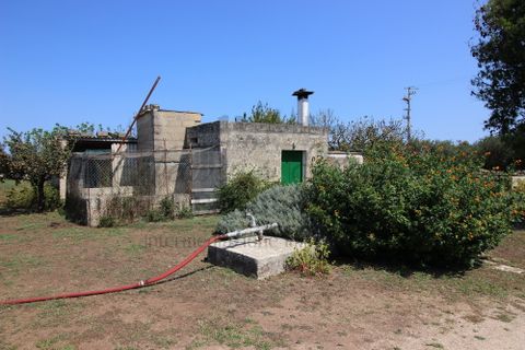 Tomt i Martano, Lecce, Martano - € 80 000 | Ref:  CR000 - foto 13