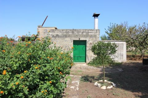 Tomt i Martano, Lecce, Martano - € 80 000 | Ref:  CR000 - foto 15