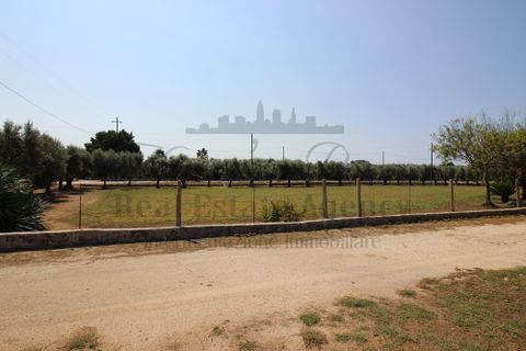 Tomt i Martano, Lecce, Martano - € 80 000 | Ref:  CR000 - foto 11