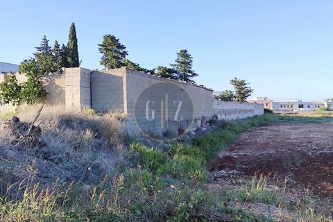Terra a Martano, Lecce, Martano - € 150.000 | Ref: SE006 - foto 11