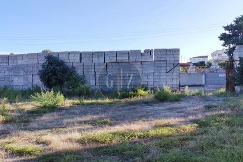 Terra a Martano, Lecce, Martano - € 150.000 | Ref: SE006 - foto 3