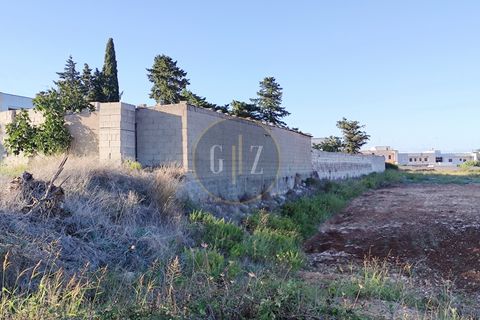 Terra a Martano, Lecce, Martano - € 150.000 | Ref: SE006 - foto 10
