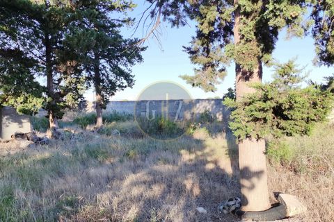 Terra a Martano, Lecce, Martano - € 150.000 | Ref: SE006 - foto 8