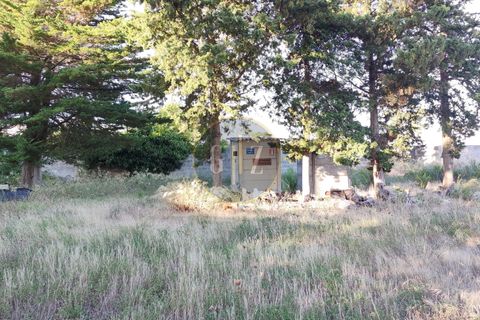 Terra a Martano, Lecce, Martano - € 150.000 | Ref: SE006 - foto 7