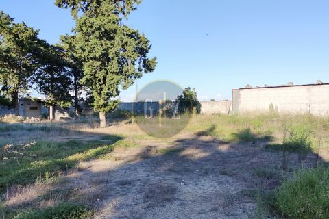 Terra a Martano, Lecce, Martano - € 150.000 | Ref: SE006 - foto 5