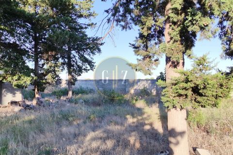 Terra a Martano, Lecce, Martano - € 150.000 | Ref: SE006 - foto 2