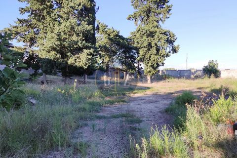 Terra a Martano, Lecce, Martano - € 150.000 | Ref: SE006 - foto 9
