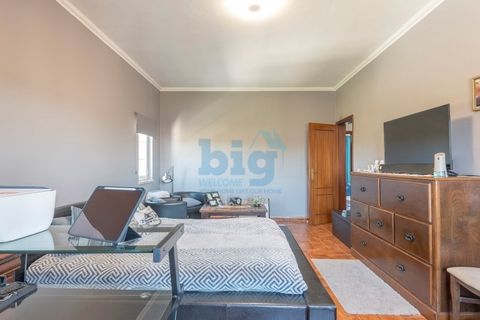 Villa a Alcacer do Sal, Setubal, Alcacer do Sal - € 890.000 | Ref: BIGBJF-027.1 - foto 21