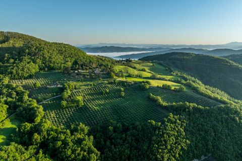 Villa i Cortona, Arezzo, Cortona - € 6.900.000 | Ref: CBI134-2230-164 - foto 1