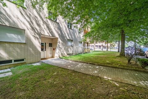 Lejlighed i Braga, Braga, Braga - € 440.000 | Ref: ZMPT577856 - foto 3