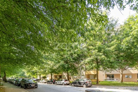 Lejlighed i Braga, Braga, Braga - € 440.000 | Ref: ZMPT577856 - foto 4