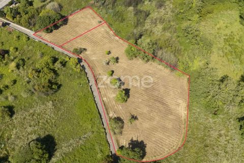Terra a Grijo, Porto, Grijo - € 90.000 | Ref: ZMPT577635 - foto 2