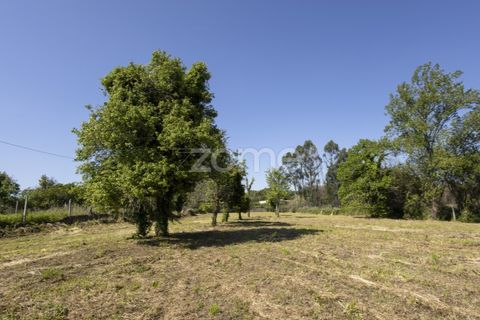 Terra a Grijo, Porto, Grijo - € 90.000 | Ref: ZMPT577635 - foto 10