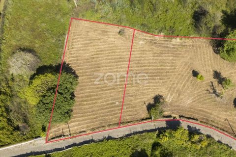 Terra a Grijo, Porto, Grijo - € 90.000 | Ref: ZMPT577635 - foto 3
