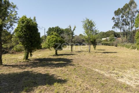 Terra a Grijo, Porto, Grijo - € 90.000 | Ref: ZMPT577635 - foto 5