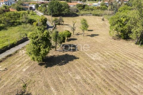 Terra a Grijo, Porto, Grijo - € 90.000 | Ref: ZMPT577635 - foto 6