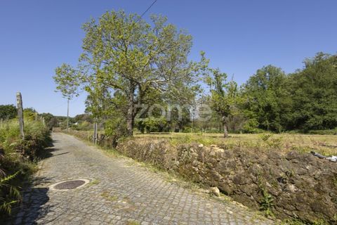 Terra a Grijo, Porto, Grijo - € 90.000 | Ref: ZMPT577635 - foto 8