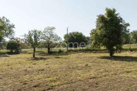 Terra a Grijo, Porto, Grijo - € 90.000 | Ref: ZMPT577635 - foto 11