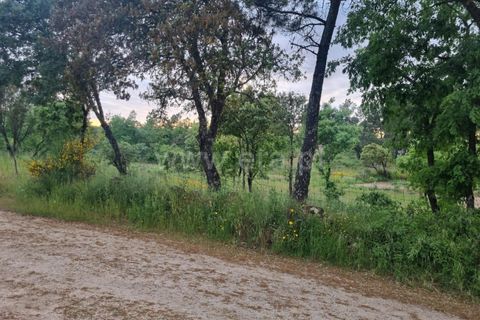 Terra a Celorico da Beira, Guarda, Celorico da Beira - € 25.000 | Ref: 046250056 - foto 2